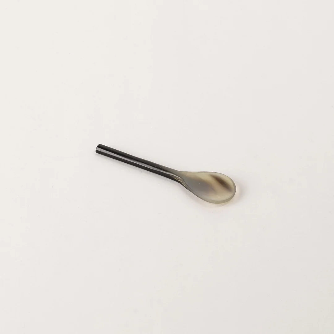 Horn Salt Spoon – LivedIn Coogee