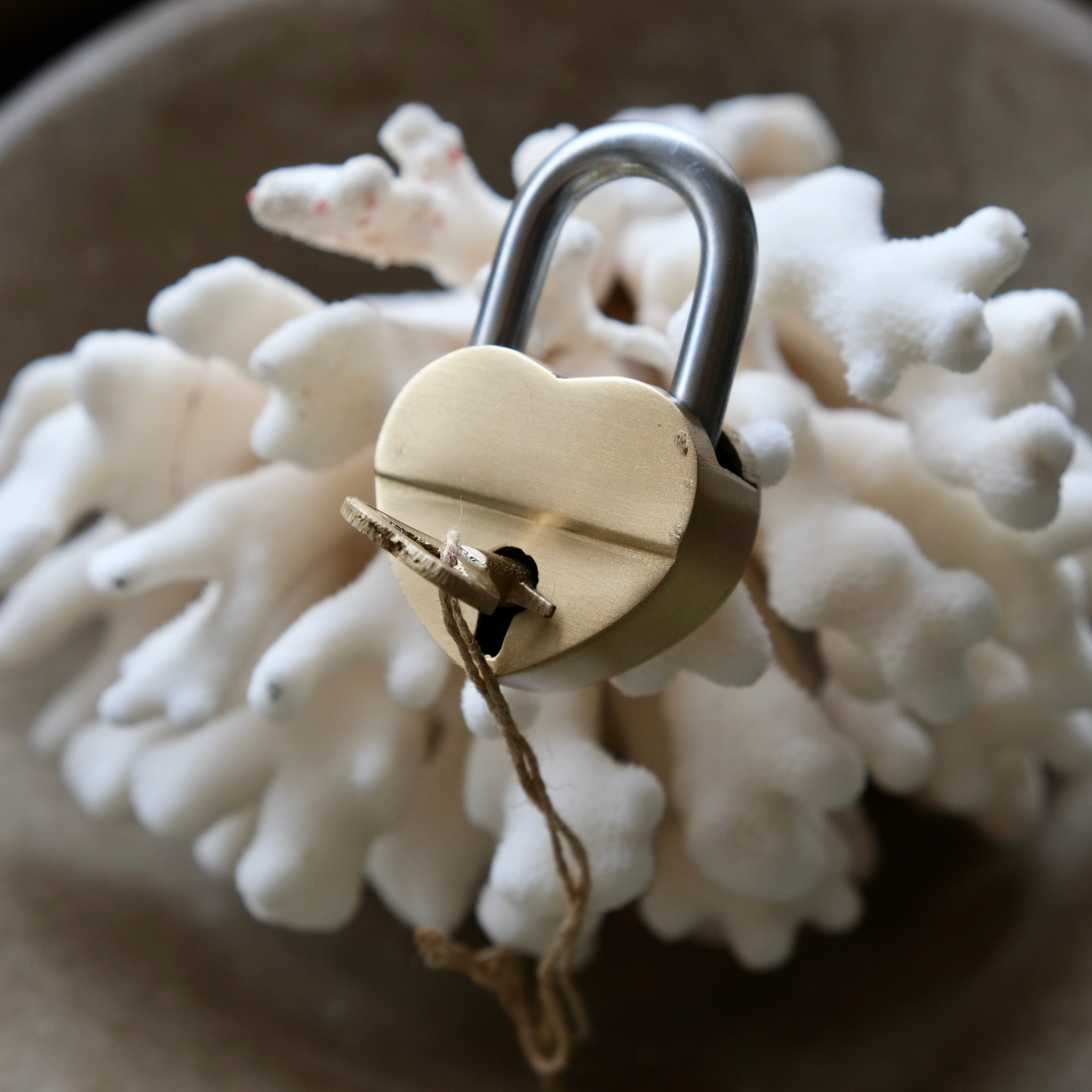 Love Me Lock – LivedIn Coogee